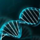 Kirtikapriya A picture