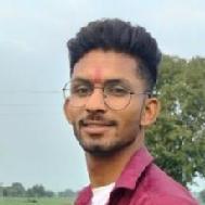 Vishal Rathore Hindi Language trainer in Polai Kalan