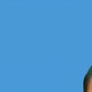 Jahnavi A. Class I-V Tuition trainer in Guntur