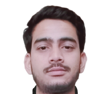 Md Nasirul Hasan Arabic Language trainer in Delhi
