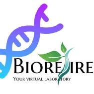 BioResire  NEET-UG institute in Anantapur