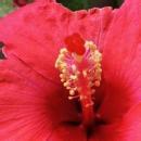 Sariya A. Class 9 Tuition trainer in Azamgarh