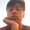 Photo of Raj Malik