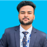 Himanshu Kumar Class 8 Tuition trainer in Phagwara