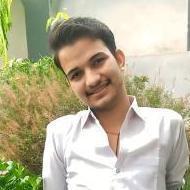 Krishna Gaur Class 10 trainer in Hindaun