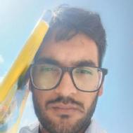 Himanshu Verma Class 11 Tuition trainer in Sangaria