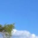 Sahana A. BTech Tuition trainer in Udupi