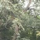 Aishwarya N. Tuition trainer in Haveri