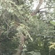 Aishwarya N. Class I-V Tuition trainer in Haveri