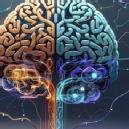 Deewanshi Kapoor picture