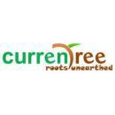 Currentree Stock Market Trading institute in Bangalore
