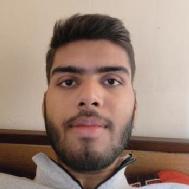 Alok Singh Class I-V Tuition trainer in Roorkee