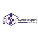 SynapseSpark Academy photo
