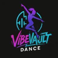 VibeVault Dance Academy Health and Fitness institute in Noida