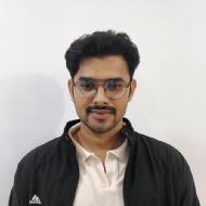 Mohit Kumar Meena Class 8 Tuition trainer in Nagpur