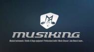 Musiking Guitar institute in Bangalore