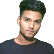 Rehan Raza Python trainer in Noida