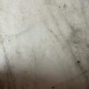 Sanya A. Geography Tuition classes trainer in Agra