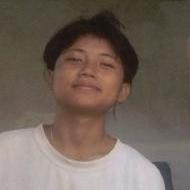 Alvin Hindi Language trainer in Peren