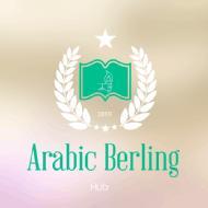 Expert Arabic Berling Hub Arabic Language institute in Delhi