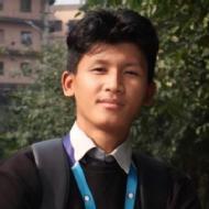 Yaiphaba Meitankeisam Class I-V Tuition trainer in Hyderabad