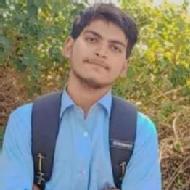 Prince Gupta Class 12 Tuition trainer in Mahoba