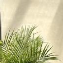 Aheli Class 8 Tuition trainer in Kolkata