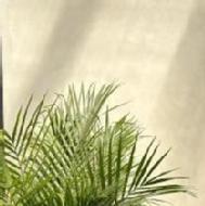 Aheli Class 8 Tuition trainer in Kolkata