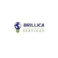 Brillica Services Python institute in Dehradun