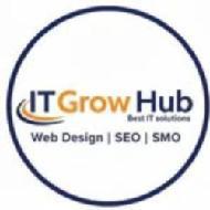 Web Design & Development Services Web Designing institute in Jaipur