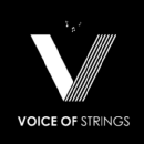 Photo of Voice of Strings Music School