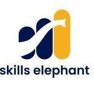 Skills Elephant Digital Marketing institute in Indore
