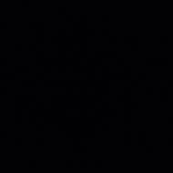 Kosha Zala Class 12 Tuition trainer in Ahmedabad