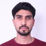 Ashok Kumar Parihar Class 12 Tuition trainer in Solan