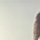 Babu Rao Maturi photo