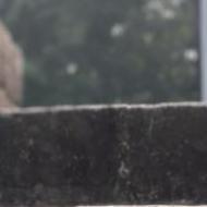 Prachi M. Class 11 Tuition trainer in Bhubaneswar