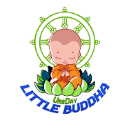Little Buddha International Preschool Class I-V Tuition institute in Chennai