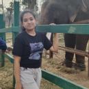 Gouri N. Tuition trainer in Virajpet