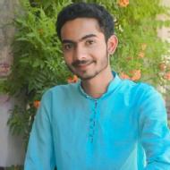 Ujjwal Singh Class 8 Tuition trainer in Kota