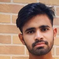 Himanshu Class 12 Tuition trainer in Bhawar