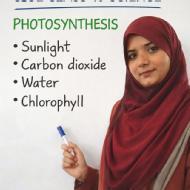 Sumbul Class I-V Tuition trainer in Fatehpur