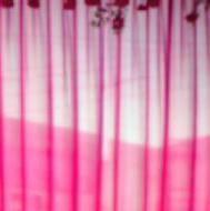 Loveneet K. Class 11 Tuition trainer in Ropar