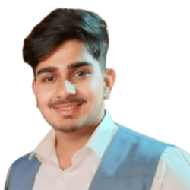 Rishabh Raj Class 12 Tuition trainer in Bhopal