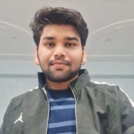 Ritik Sharma Class 12 Tuition trainer in Bharatpur