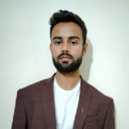 Manish Painting trainer in Shimla