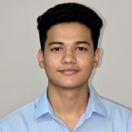 Mayank Class 8 Tuition trainer in Delhi