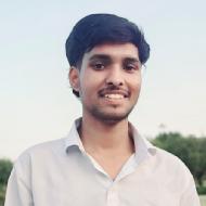 Pratap Advanced Placement Tests trainer in Phagwara