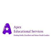 Apex Academy Class 9 Tuition institute in Lagos