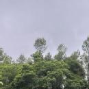 Photo of Anishfathima