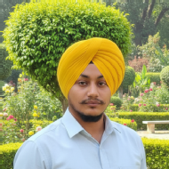 Gurmandeep Class 9 Tuition trainer in Nighasan